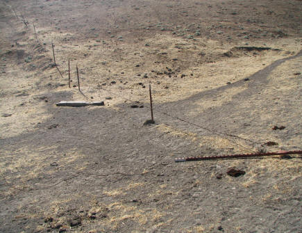 Cerca en mal estado, lo que permite que el ganado pastando en áreas prohibidas Reserva Ecológica de la Llanura Carrizo, octubre 2009