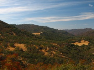 ForestWatch is working to ensure that the public can once again enjoy this beautiful view of Pine Ridge and the Stony Creek watershed in the Los Padres National Forest.