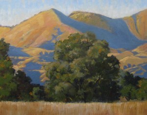 "Evening View Grass Mountain" Dotty Hawthorne, óleo, 11 "x 14" sin marco, 19 "x 22" enmarcado $ 775