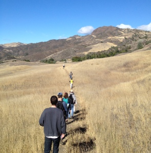 Volunteers hiking out to a grow site