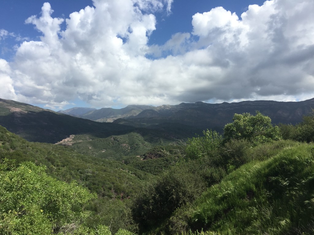 Looking out over the Sespe Condor Sanctuary