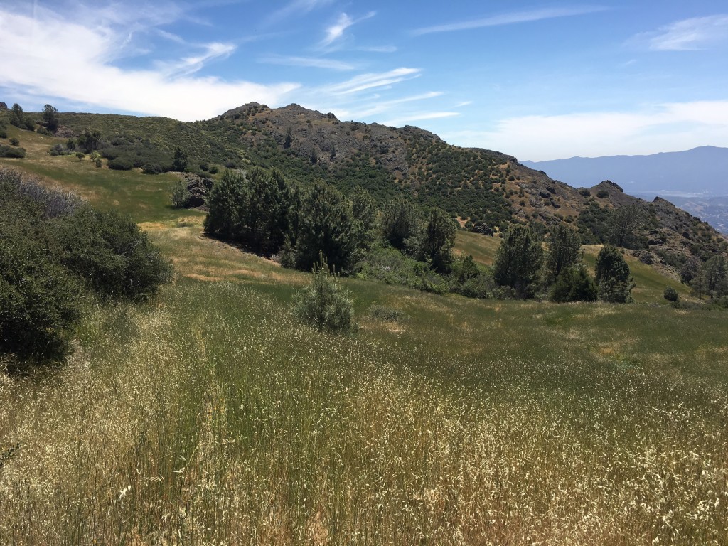 The Forest Service is seeking to formalize this “road” in a protected roadless area above the Santa Ynez Valley.