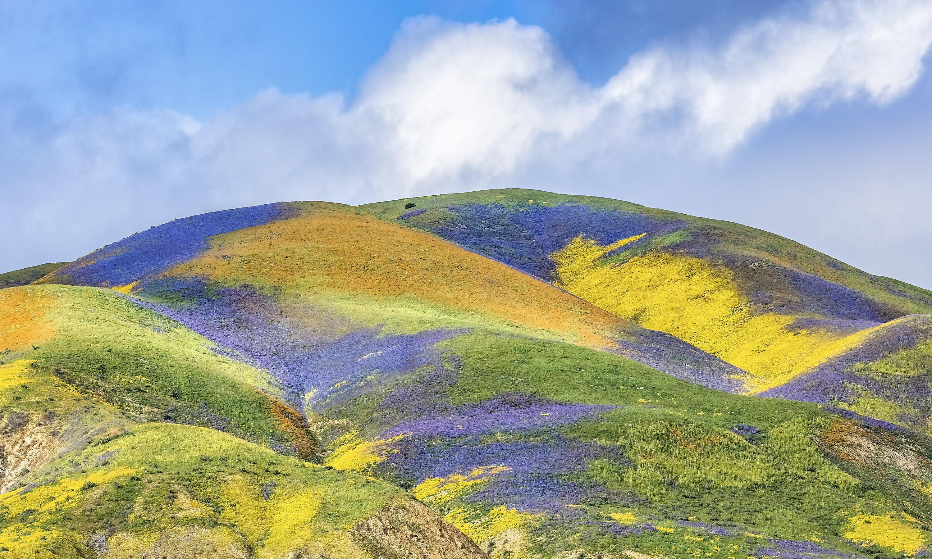 Carrizo Plain National Monument Supported by Thousands Along Central Coast