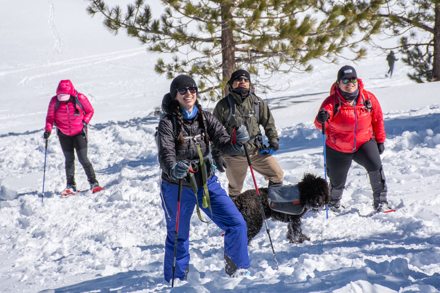 2019 Mt. Pinos Snowshoeing_web-41