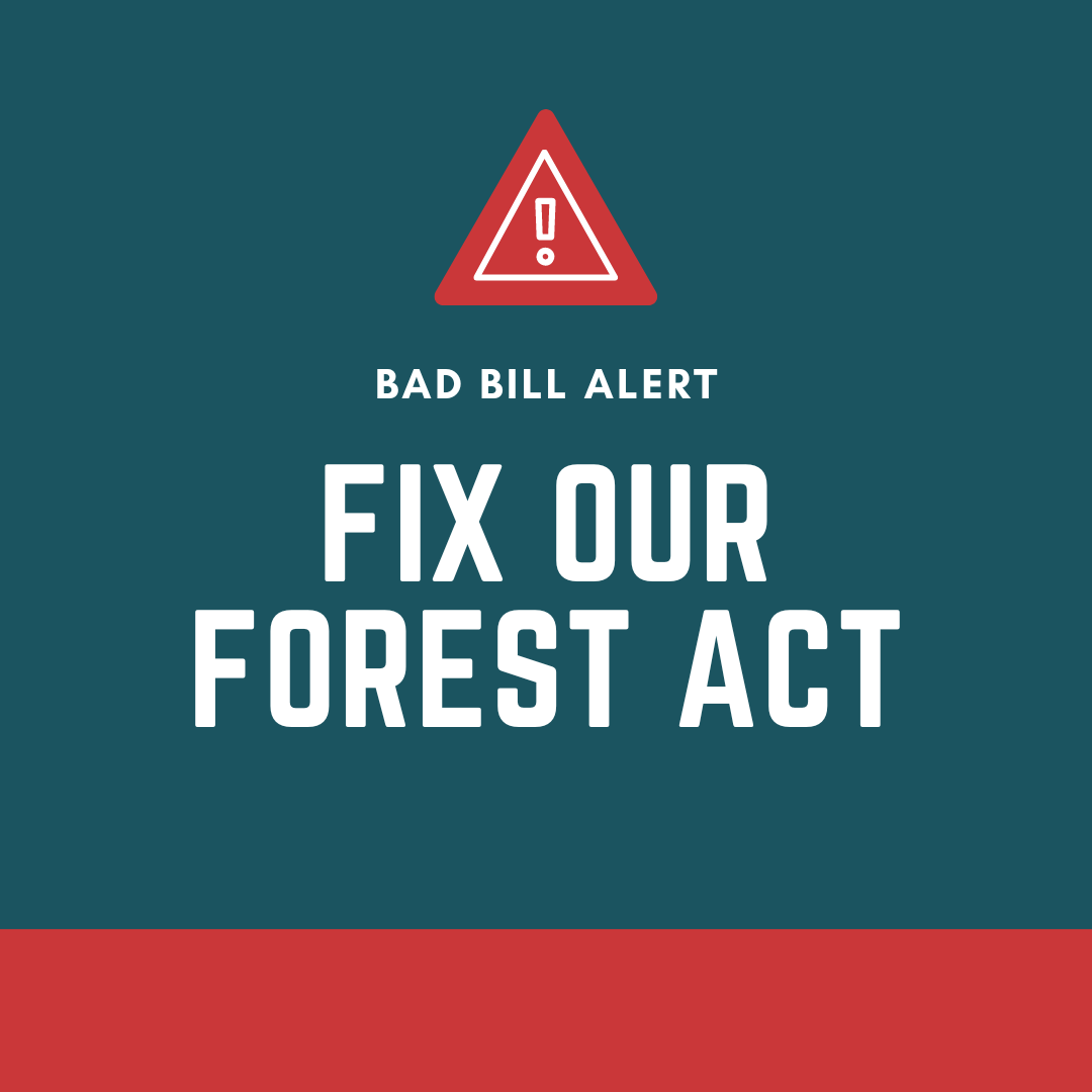 Controversial 'Fix Our Forests Act' Threatens Environmental Protections ...